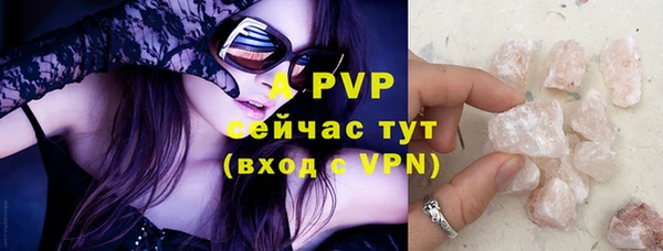 apvp Горняк