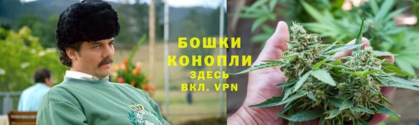 apvp Горняк