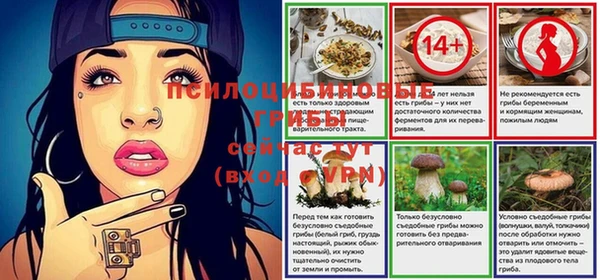 спайс Горно-Алтайск