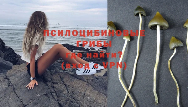 спайс Горно-Алтайск