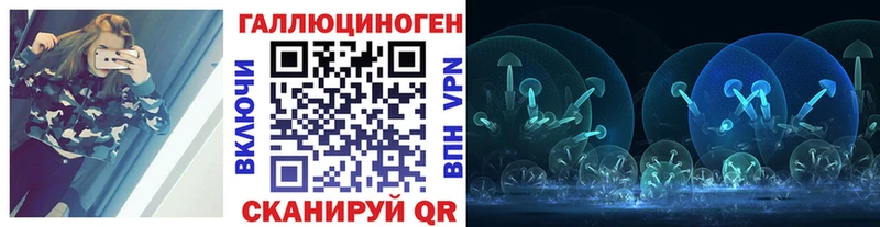 блэк спрут ТОР  Саратов  Псилоцибиновые грибы Cubensis 